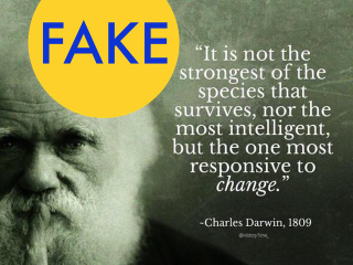 Illustration for article titled 6 More Fake Images From Our Garbage Internet